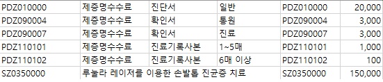 루시드비급여비용.jpg